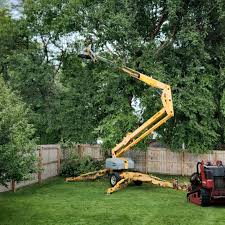 Best Tree Mulching Services  in Wellford, SC